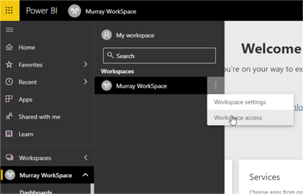 Power BI workspace permissions and roles-VISTA