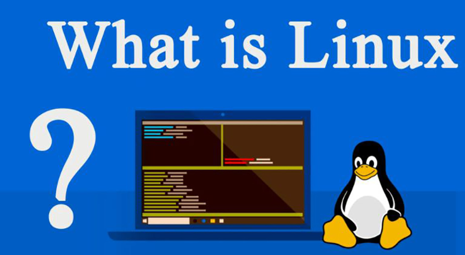 What is Linux-VISTA