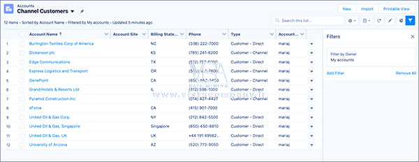 Salesforce -List Views vs Reports - داده کاوی ویستا