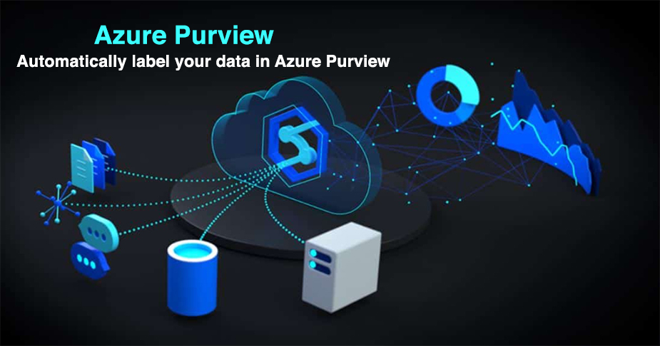 نحوه برچسب گذاری خودکار داده ها در Azure Purview - داده کاوی ویستا