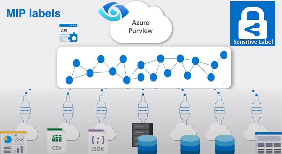 استفاده از MIP Labels از Azure Synapse Analytics در Power BI - داده کاوی ویستا